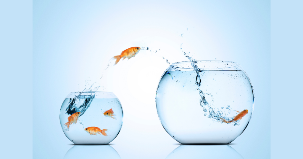 Funding opportunities for startups - Caena